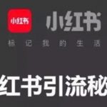 小红书一千粉丝多少钱?小红书前期如何快速涨粉