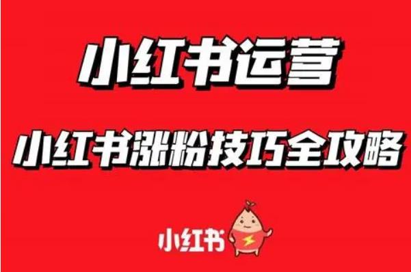 小红书专业刷粉平台,小红书不浪费一分钱的推广技巧