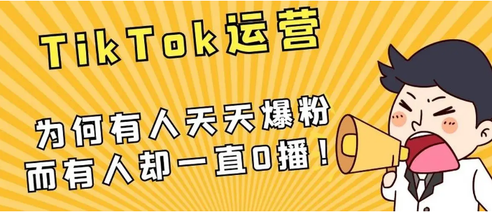 Tiktok买粉价格是多少?Tiktok快速有效涨粉方法