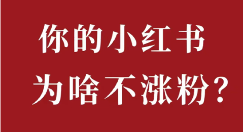 如何快速增加小红书粉丝？小红书涨粉流量密码