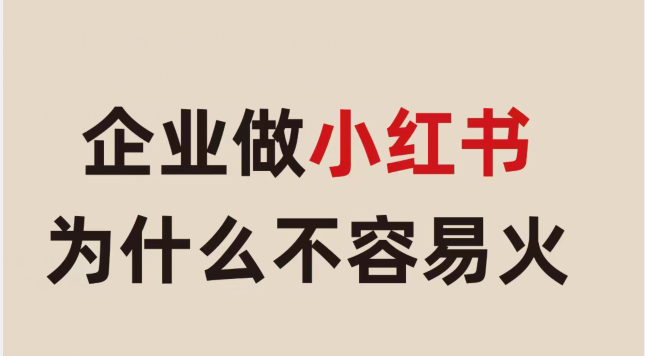 小红书企业号如何涨粉？企业小红书号运营