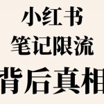 小红书笔记限流如何解决？小红书笔记限流怎么办