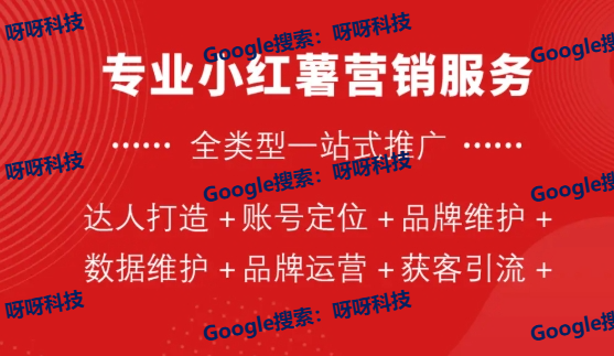 小红书外国用户喜欢看什么，从小红书涌入的外国UP主们找到致富密码
