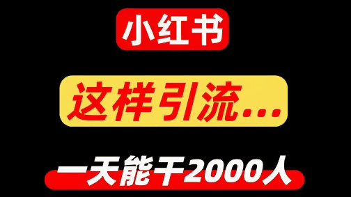 ALT標籤:自媒體引流技巧,快速增粉,內容營銷策略,12ex專業引流方案.